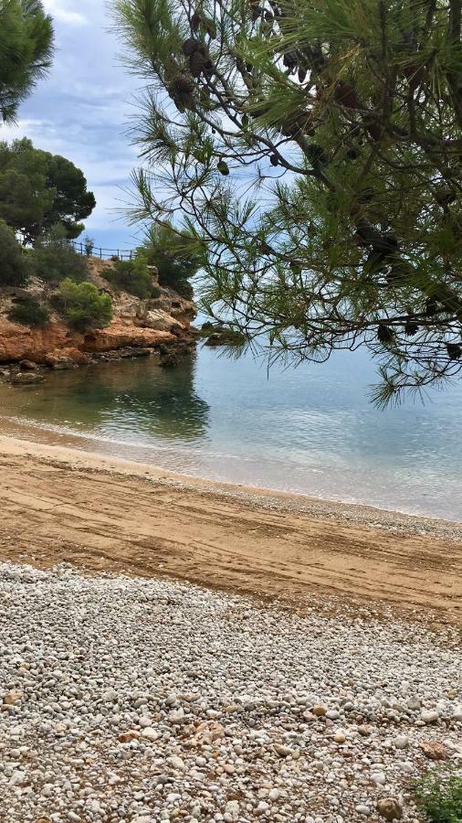 Apt Ideal Para Familias Cerca Del Mar L'Ampolla Luaran gambar